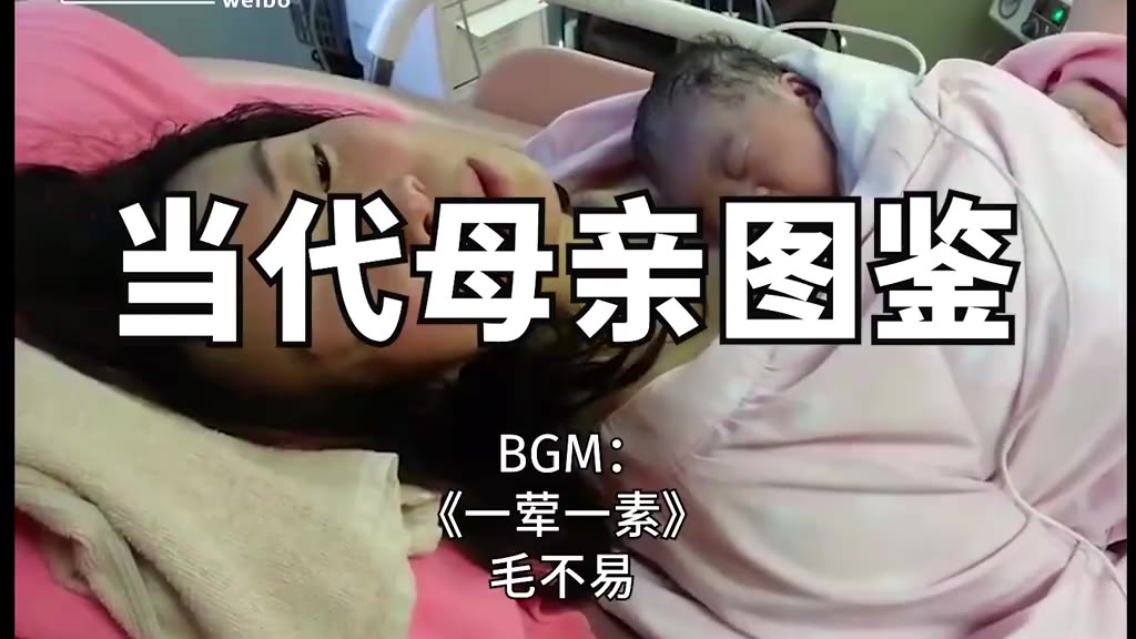当 代 母 亲 图 鉴